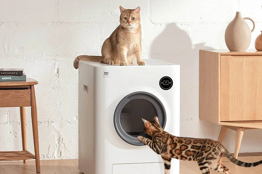 automatic kitten litter box